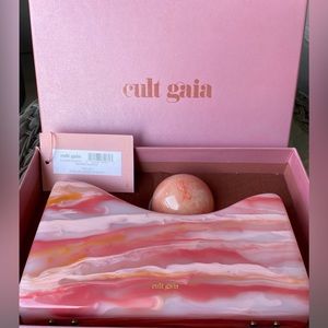 Cult Gaia Bahar Acrylic Clutch